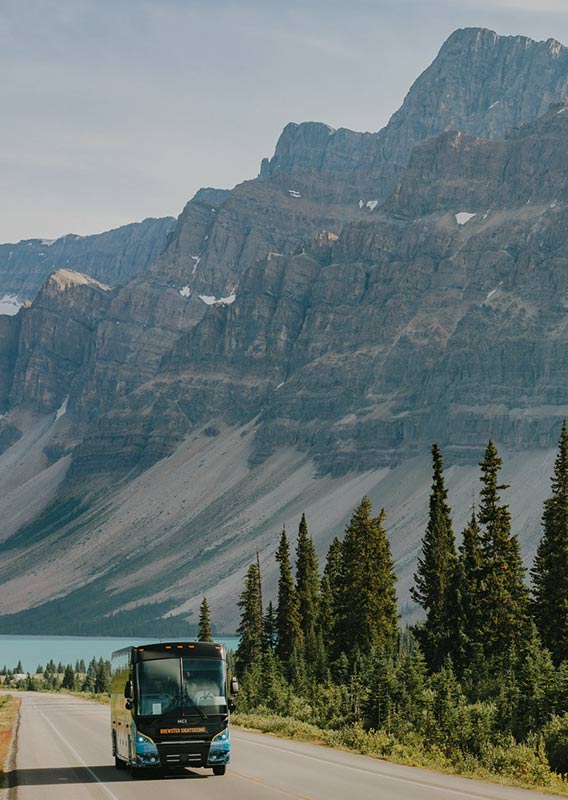A coach bus drives down a road next to a stand of conifer trees, below tall mountains.