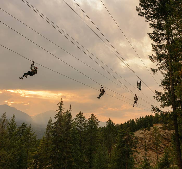 Golden Skybridge Adventure Pass Thrilling Activities