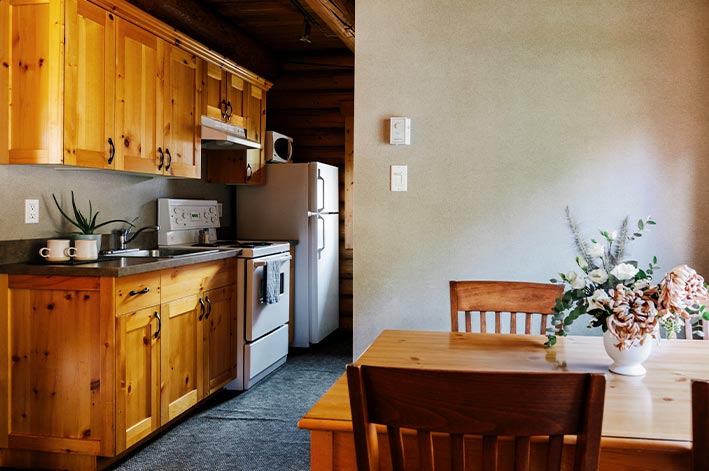 A kitchen in a wooden cabin