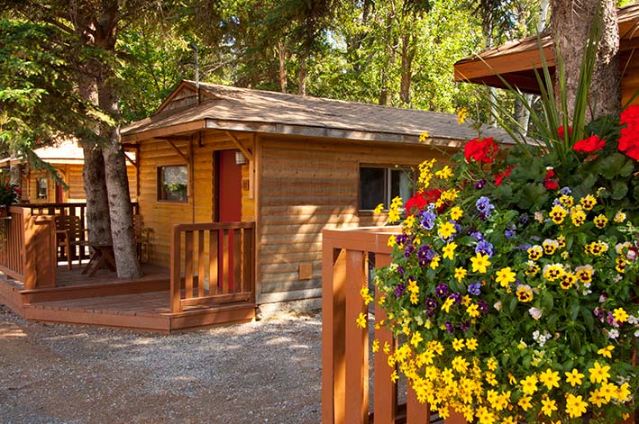 Pocahontas Cabins Official Page Cozy Family Cabins In Jasper Ab