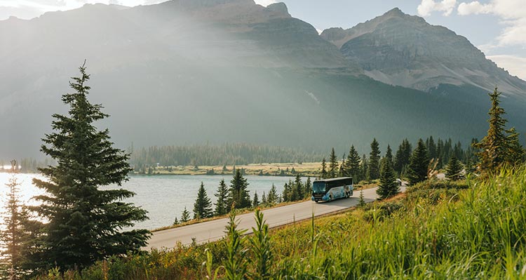 A bus drives along a road between a lake and forests