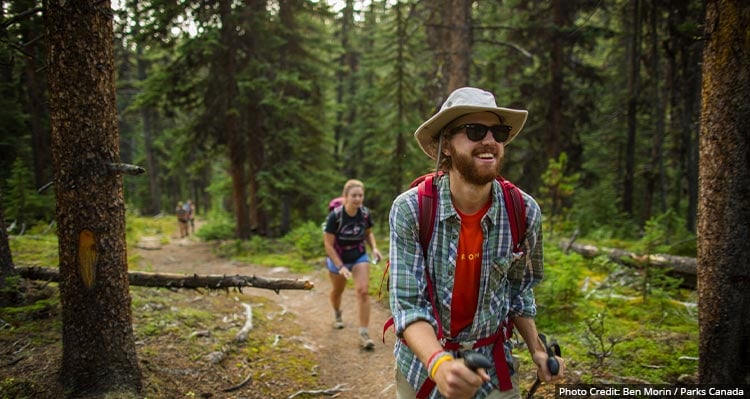 Two hikers on a trail with conifer trees.