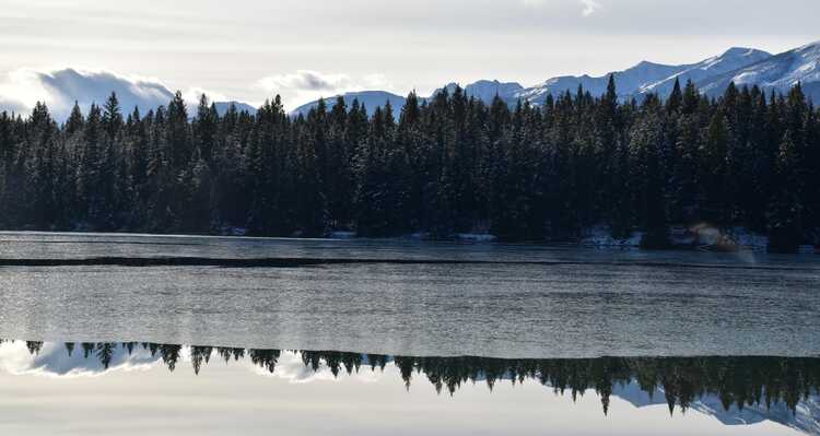 A semi-frozen lake beside a conifer forest.