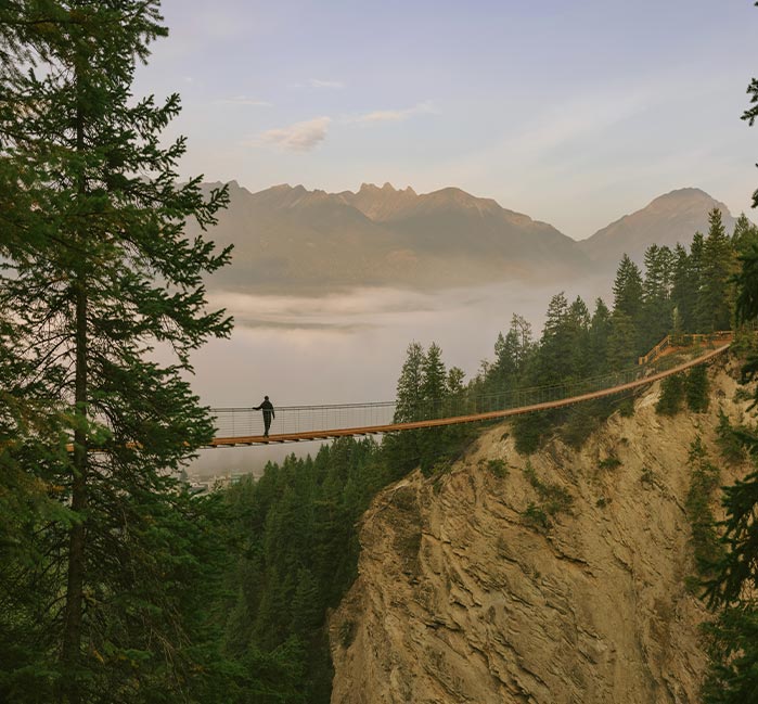 A narrow suspension bridge across a canyon.