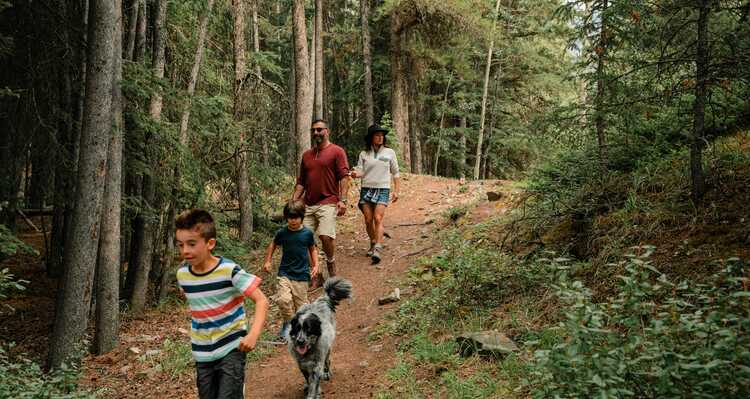 Family hiking a trail at Lake Minnewanka