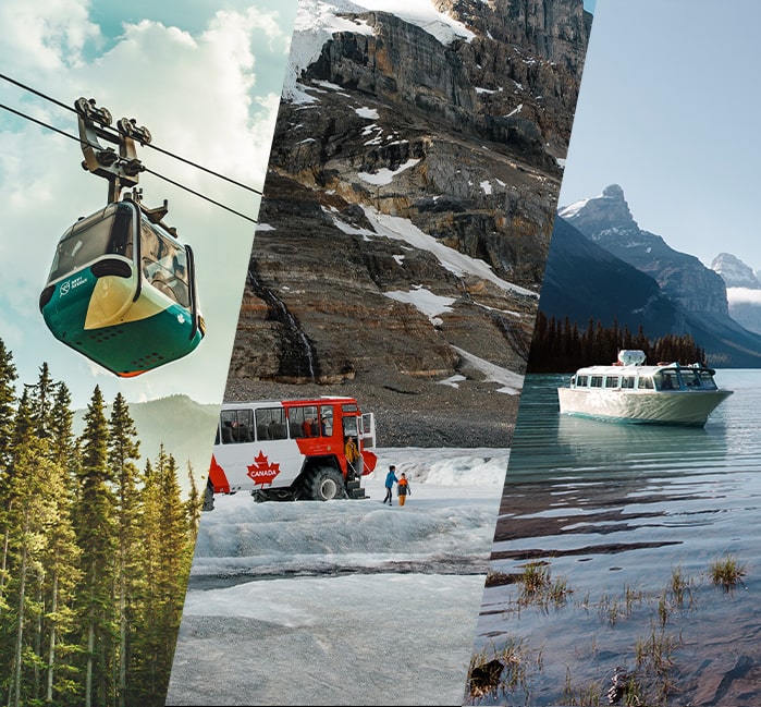 discover banff tours icefields parkway