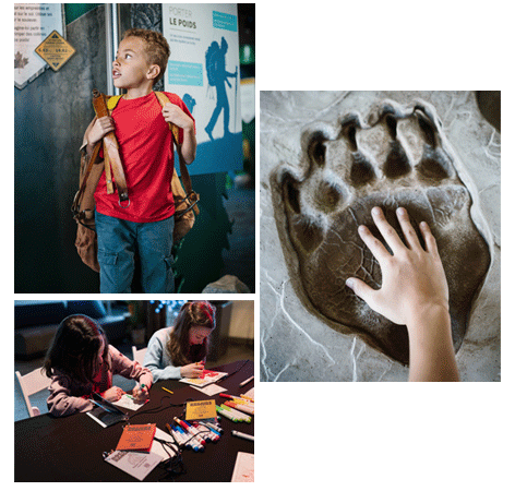 Photo collage from the Banff Gondola information centre