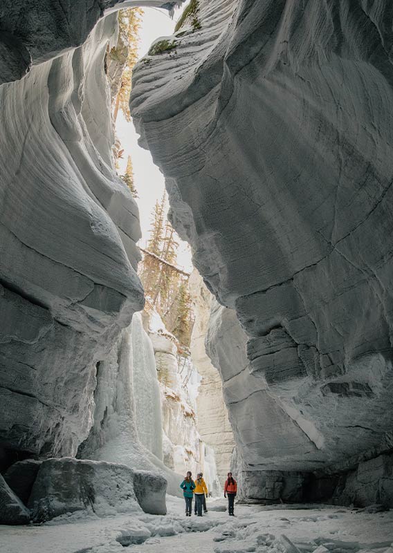 Three people stand at the bottom of a deep frozen canyon.