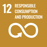 UN-SDG-12