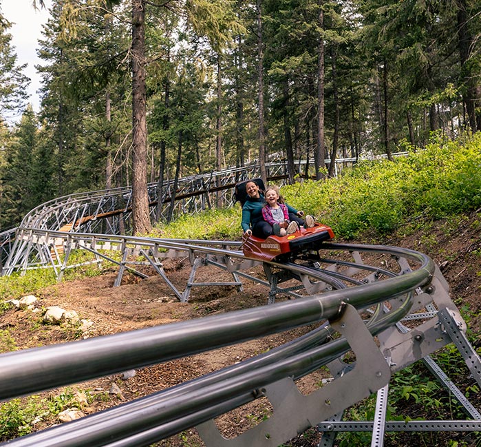 Golden Skybridge Adventure Pass Thrilling Activities